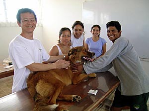 Haustier Sterilisationen