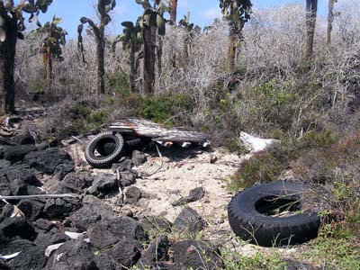 tires