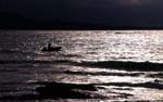 fishing at night