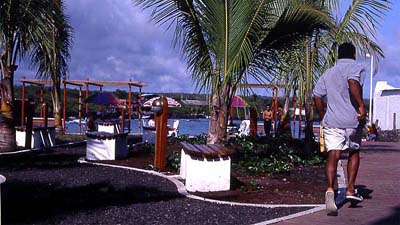 Puerto Ayora2