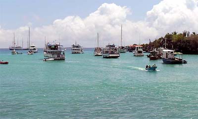 boats at Puerto Ayora