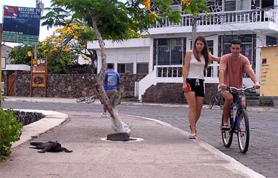 encounter in town