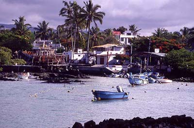 fishing port
