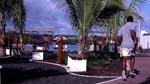 Puerto Ayora2