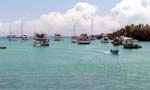 boats at Puerto Ayora