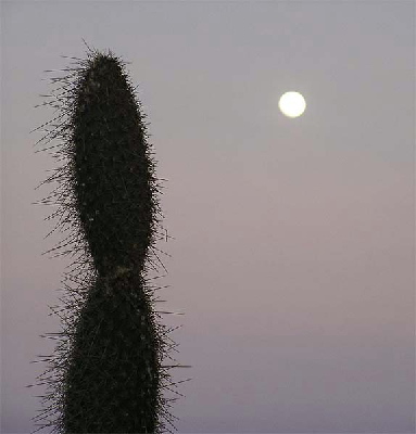 moon