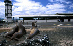 Flughafen Baltra