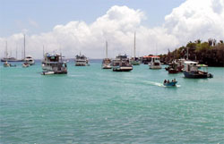 boats at Puerto Ayora