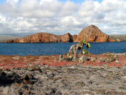 typical landscape at Plaza Sur