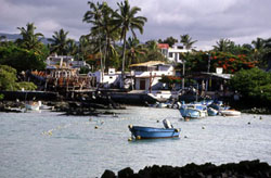 fishing port