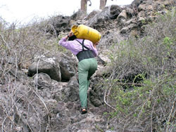 carrying equipment
