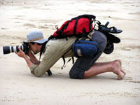 taking photographs